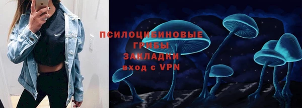 сатива Абинск