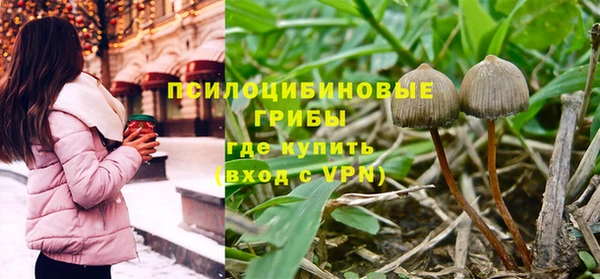 первитин Алексеевка