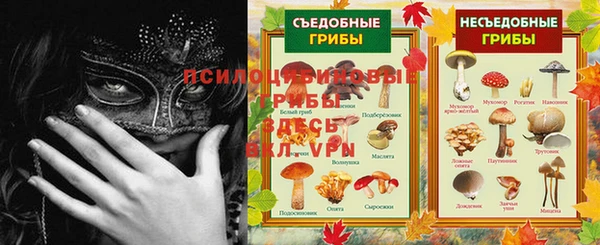 стафф Алексин