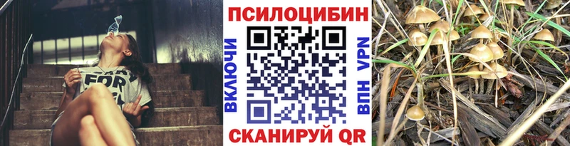 Галлюциногенные грибы Psilocybine cubensis наркота Новокубанск